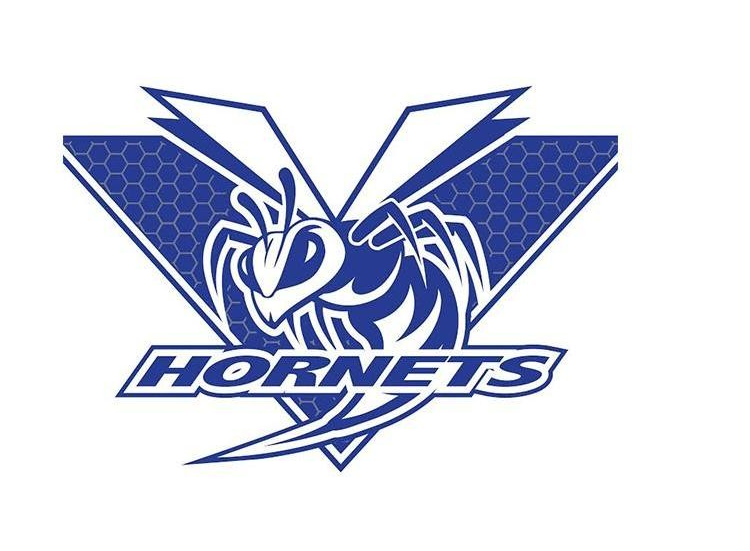 District Logo